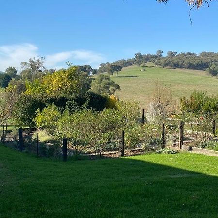 Dixons Creek Mount Hope Estate Vineyard 아파트 외부 사진