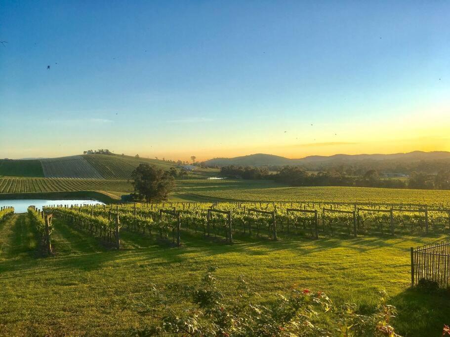 Dixons Creek Mount Hope Estate Vineyard 아파트 외부 사진