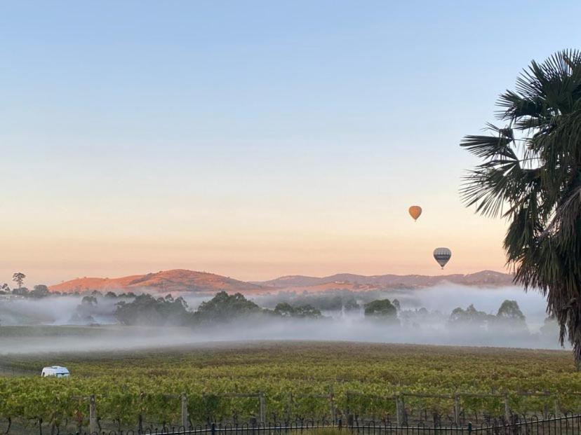 Dixons Creek Mount Hope Estate Vineyard 아파트 외부 사진